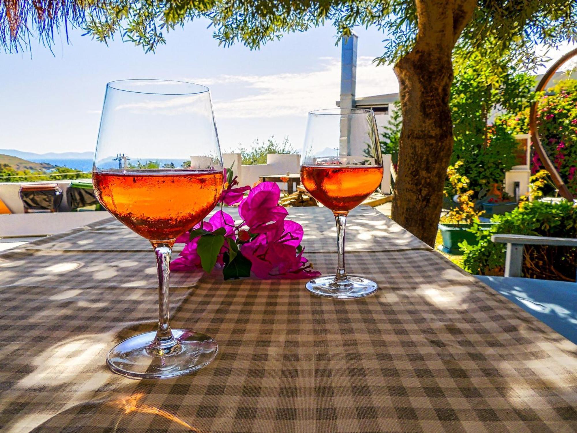 Oza Boutique Hotel
